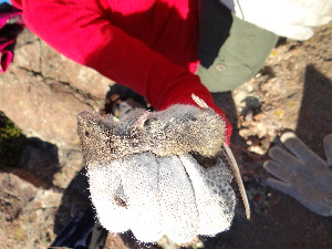  ( - CMIAO227)  @11 [ ] Unspecified (default): All Rights Reserved  Unspecified Unspecified