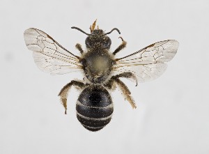  ( - LUG22_APCUL)  @11 [ ] (by-nc-nd) (2025) Unspecified Università degli Studi Roma Tre