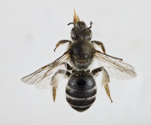  ( - LUG29_APCUL)  @11 [ ] (by-nc-nd) (2025) Unspecified Università degli Studi Roma Tre