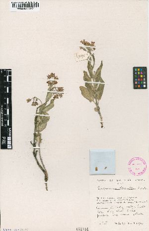 ( - OMH16169)  @11 [ ] No Rights Reserved  Unspecified Unspecified