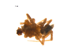  ( - BIOUG14290-A02)  @12 [ ] CreativeCommons - Attribution (2014) G. Blagoev Centre for Biodiversity Genomics