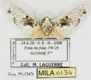  ( - MILA 0134)  @13 [ ] Copyright (2010) Michel Laguerre Research Collection of Michel Laguerre