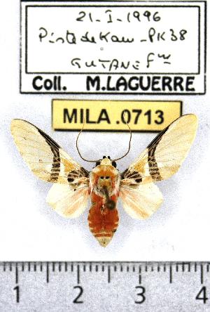  ( - MILA 0713)  @13 [ ] Copyright (2010) Michel Laguerre Research Collection of Michel Laguerre