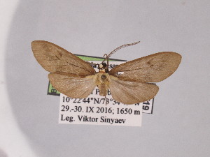  ( - BEVI2532)  @11 [ ] No Rights Reserved (2024) Benoit VINCENT Unspecified