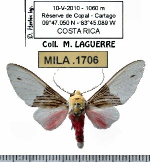  ( - MILA 1706)  @13 [ ] Copyright (2012) Michel Laguerre Research Collection of Michel Laguerre