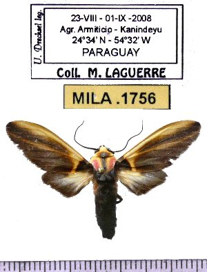  ( - MILA 1756)  @12 [ ] Copyright (2012) Michel Laguerre Research Collection of Michel Laguerre