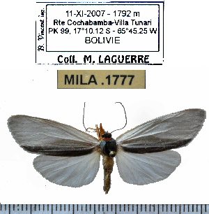  ( - MILA 1777)  @12 [ ] Copyright (2012) Michel Laguerre Research Collection of Michel Laguerre