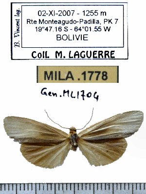  ( - MILA 1778)  @11 [ ] Copyright (2012) Michel Laguerre Research Collection of Michel Laguerre