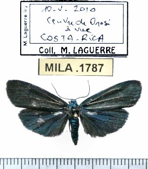  (Gen-Litho1ML - MILA 1787)  @12 [ ] Copyright (2012) Michel Laguerre Research Collection of Michel Laguerre