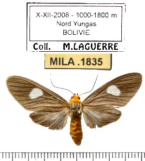  ( - MILA 1835)  @12 [ ] Copyright (2012) Michel Laguerre Research Collection of Michel Laguerre