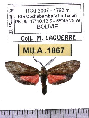  ( - MILA 1867)  @12 [ ] Copyright (2012) Michel Laguerre Research Collection of Michel Laguerre