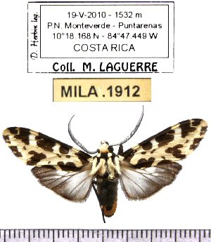  ( - MILA 1912)  @12 [ ] Copyright (2012) Michel Laguerre Research Collection of Michel Laguerre