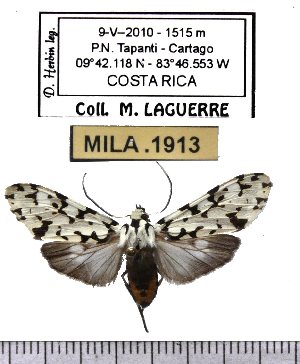  ( - MILA 1913)  @12 [ ] Copyright (2012) Michel Laguerre Research Collection of Michel Laguerre