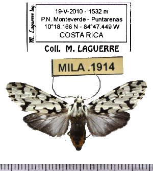  ( - MILA 1914)  @12 [ ] Copyright (2012) Michel Laguerre Research Collection of Michel Laguerre