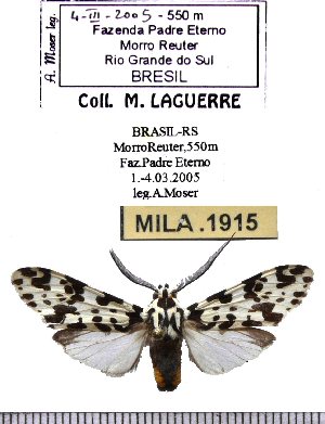  ( - MILA 1915)  @11 [ ] Copyright (2012) Michel Laguerre Research Collection of Michel Laguerre