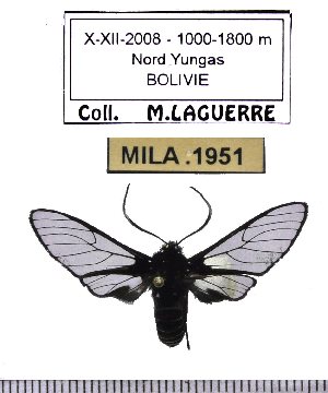  ( - MILA 1951)  @12 [ ] Copyright (2012) Michel Laguerre Research Collection of Michel Laguerre