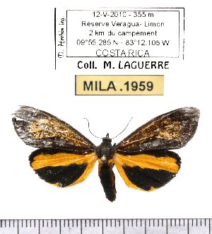  ( - MILA 1959)  @14 [ ] Copyright (2012) Michel Laguerre Research Collection of Michel Laguerre