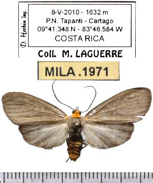  ( - MILA 1971)  @14 [ ] Copyright (2012) Michel Laguerre Research Collection of Michel Laguerre