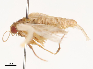  ( - CBG-B22926-D08)  @11 [ ] CreativeCommons - Attribution Share - Alike (2025) CBG Photography Group Centre for Biodiversity Genomics