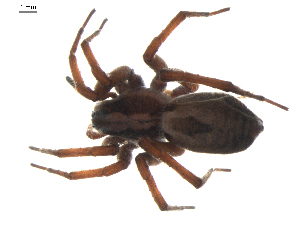  ( - BIOUG00624-F05)  @13 [ ] Copyright  G. Blagoev 2010 Unspecified