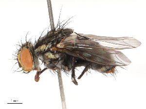  ( - CBG-B00490-E06)  @11 [ ] CreativeCommons - Attribution Share - Alike (2025) CBG Photography Group Centre for Biodiversity Genomics