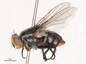  ( - CBG-B00489-H03)  @11 [ ] CreativeCommons - Attribution Share - Alike (2025) CBG Photography Group Centre for Biodiversity Genomics