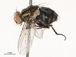  ( - CBG-B00509-E07)  @11 [ ] CreativeCommons - Attribution Share - Alike (2025) CBG Photography Group Centre for Biodiversity Genomics