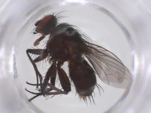  ( - CBG-B00624-F04)  @11 [ ] CreativeCommons - Attribution Share - Alike (2025) Centre for Biodiversity Genomics Centre for Biodiversity Genomics