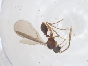  ( - CBG-B00627-F08)  @11 [ ] CreativeCommons - Attribution Share - Alike (2025) Centre for Biodiversity Genomics Centre for Biodiversity Genomics