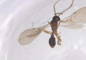  ( - CBG-B00630-A08)  @11 [ ] CreativeCommons - Attribution Share - Alike (2025) Centre for Biodiversity Genomics Centre for Biodiversity Genomics