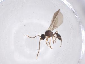  ( - CBG-B00631-D03)  @11 [ ] CreativeCommons - Attribution Share - Alike (2025) Centre for Biodiversity Genomics Centre for Biodiversity Genomics