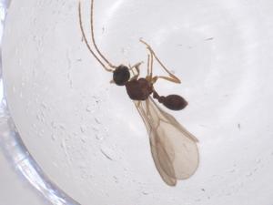  ( - CBG-B00631-E10)  @11 [ ] CreativeCommons - Attribution Share - Alike (2025) Centre for Biodiversity Genomics Centre for Biodiversity Genomics