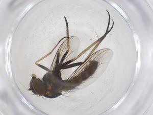  ( - CBG-B00632-F02)  @11 [ ] CreativeCommons - Attribution Share - Alike (2025) Centre for Biodiversity Genomics Centre for Biodiversity Genomics