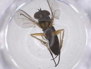  ( - CBG-B00983-F05)  @11 [ ] CreativeCommons - Attribution Share - Alike (2025) Centre for Biodiversity Genomics Centre for Biodiversity Genomics