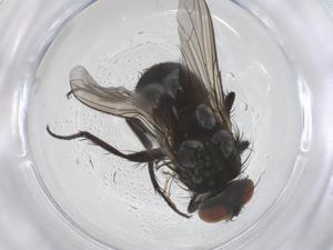  ( - CBG-B00995-E12)  @11 [ ] CreativeCommons - Attribution Share - Alike (2025) Centre for Biodiversity Genomics Centre for Biodiversity Genomics