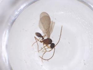  ( - CBG-B01013-E06)  @11 [ ] CreativeCommons - Attribution Share - Alike (2025) Centre for Biodiversity Genomics Centre for Biodiversity Genomics