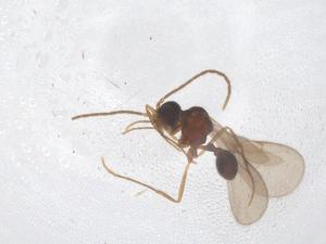  ( - CBG-B01408-D11)  @11 [ ] CreativeCommons - Attribution Share - Alike (2025) Centre for Biodiversity Genomics Centre for Biodiversity Genomics