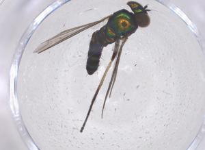  ( - CBG-B02110-C11)  @11 [ ] CreativeCommons - Attribution Share - Alike (2025) Centre for Biodiversity Genomics Centre for Biodiversity Genomics