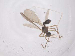  ( - CBG-B02112-A10)  @11 [ ] CreativeCommons - Attribution Share - Alike (2025) Centre for Biodiversity Genomics Centre for Biodiversity Genomics