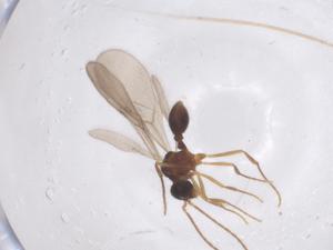  ( - CBG-B02114-E04)  @11 [ ] CreativeCommons - Attribution Share - Alike (2025) Centre for Biodiversity Genomics Centre for Biodiversity Genomics