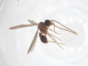  ( - CBG-B02115-H08)  @11 [ ] CreativeCommons - Attribution Share - Alike (2025) Centre for Biodiversity Genomics Centre for Biodiversity Genomics