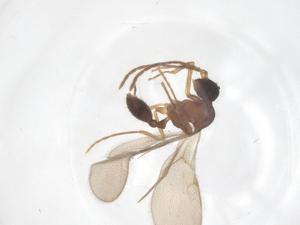  ( - CBG-B02117-H05)  @11 [ ] CreativeCommons - Attribution Share - Alike (2025) Centre for Biodiversity Genomics Centre for Biodiversity Genomics