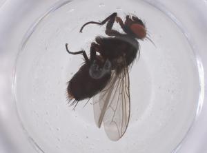  ( - CBG-B02133-D06)  @11 [ ] CreativeCommons - Attribution Share - Alike (2025) Centre for Biodiversity Genomics Centre for Biodiversity Genomics