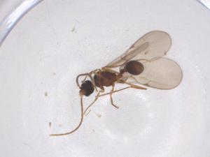  ( - CBG-B02144-G02)  @11 [ ] CreativeCommons - Attribution Share - Alike (2025) Centre for Biodiversity Genomics Centre for Biodiversity Genomics