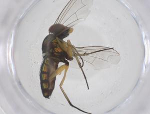  ( - CBG-B02149-D09)  @11 [ ] CreativeCommons - Attribution Share - Alike (2025) Centre for Biodiversity Genomics Centre for Biodiversity Genomics