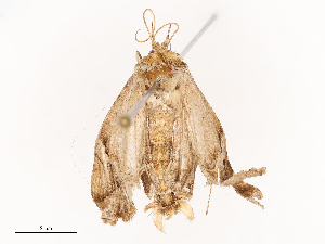 ( - CBG-B02345-B07)  @11 [ ] CreativeCommons - Attribution Share - Alike (2025) CBG Photography Group Centre for Biodiversity Genomics