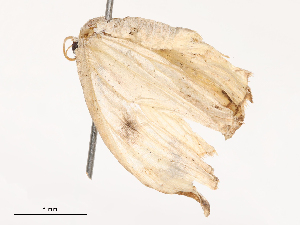  ( - CBG-B02345-D05)  @11 [ ] CreativeCommons - Attribution Share - Alike (2025) CBG Photography Group Centre for Biodiversity Genomics