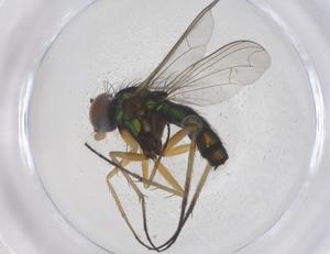  ( - CBG-B00880-C10)  @11 [ ] CreativeCommons - Attribution Share - Alike (2025) Centre for Biodiversity Genomics Centre for Biodiversity Genomics