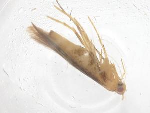  ( - CBG-B00929-G01)  @11 [ ] CreativeCommons - Attribution Share - Alike (2025) Centre for Biodiversity Genomics Centre for Biodiversity Genomics