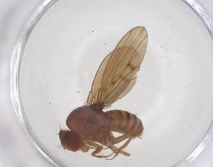  ( - CBG-B00963-D05)  @11 [ ] CreativeCommons - Attribution Share - Alike (2025) Centre for Biodiversity Genomics Centre for Biodiversity Genomics